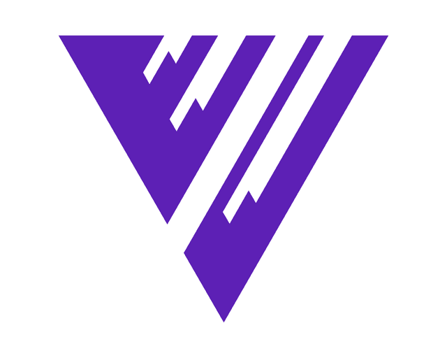 Veriscope Software logo